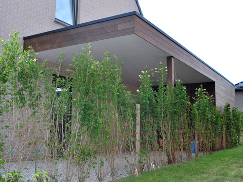 Carport met geïntegreerde tuinberging in Hotwood Essen te Zwevegem